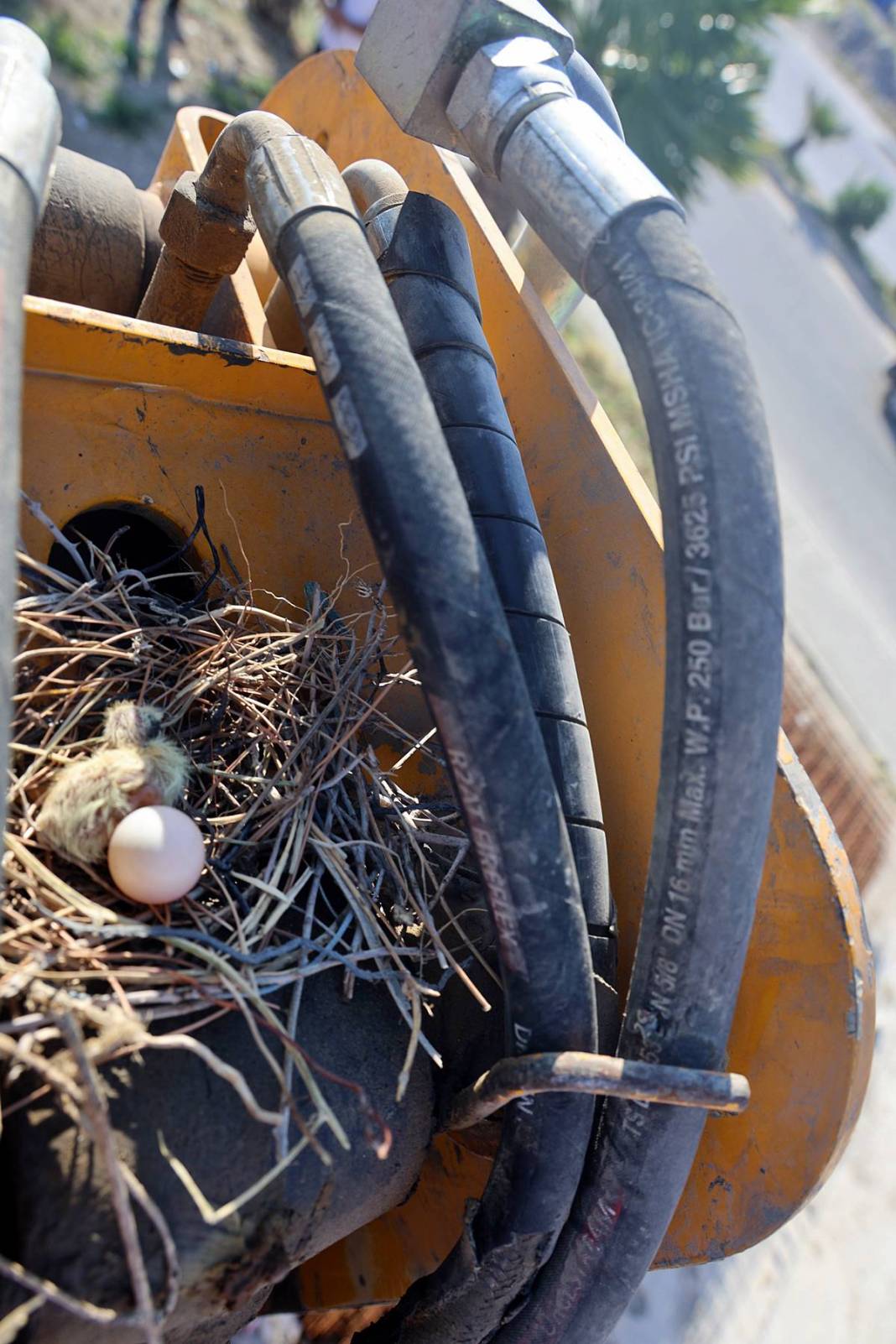 Yuva yıkmadı, takdir topladı: Onlar, Allah'ın misafiri! 200 bin TL'lik fedakarlığı takdir topladı 11